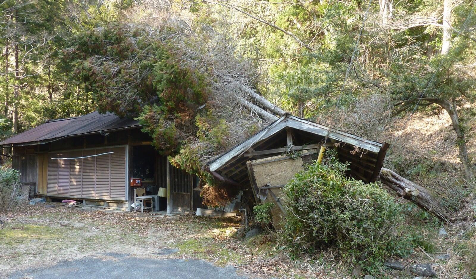  台風前に読んで！空き家トラブル「飛んだ・壊れた・倒れた」防止チェックリスト付き 